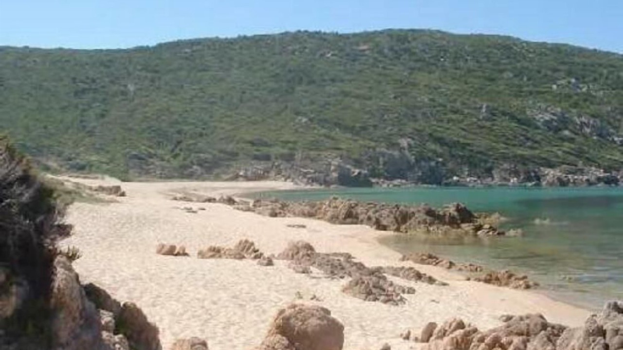 Photo of Others in Tizzano