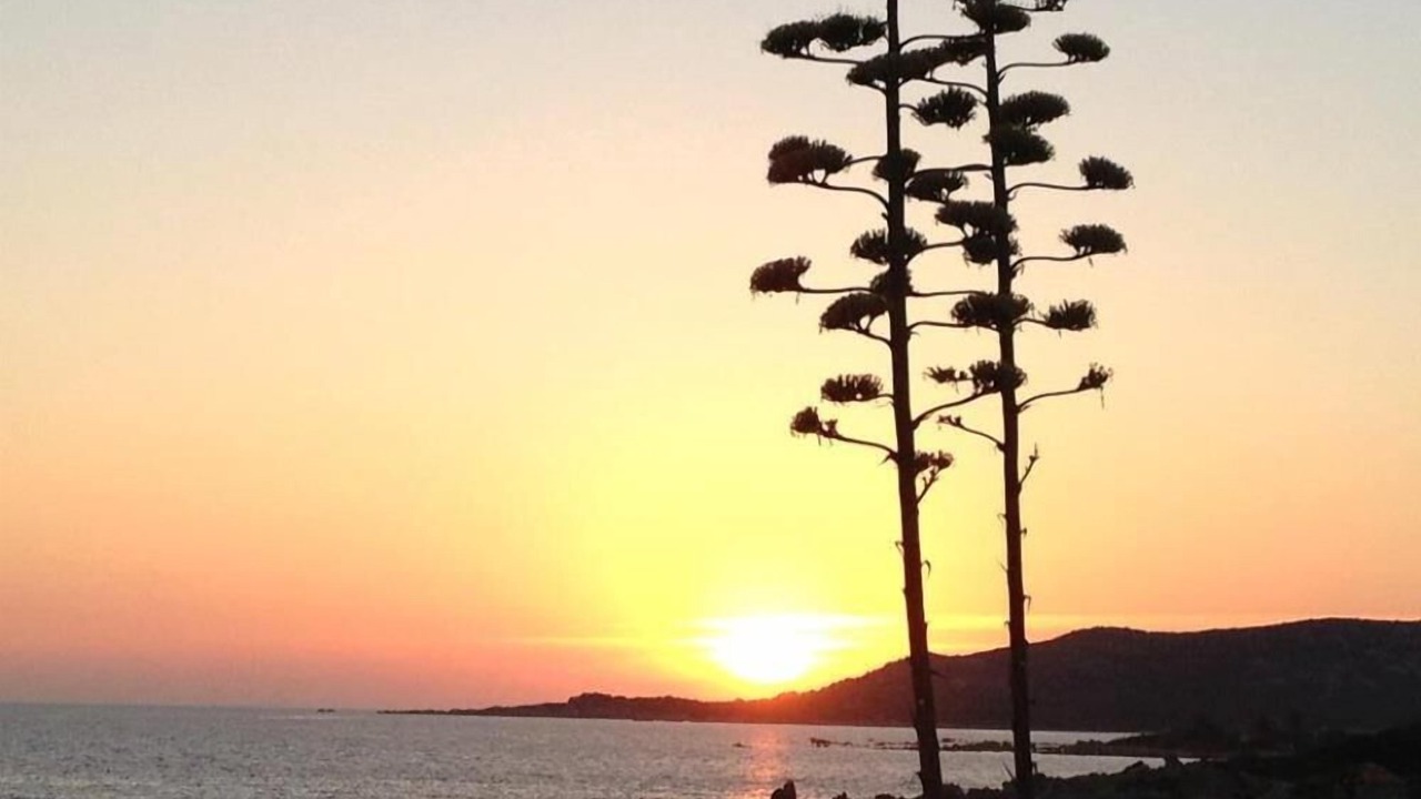 Photo of Others in Tizzano