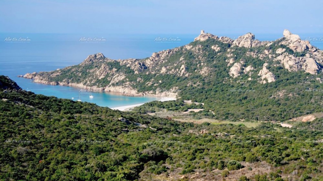 Photo of Outdoor in Tizzano