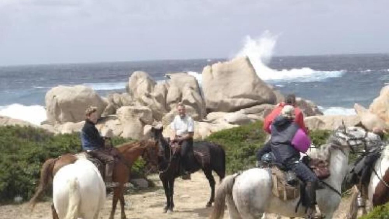 Photo of Others in Tizzano