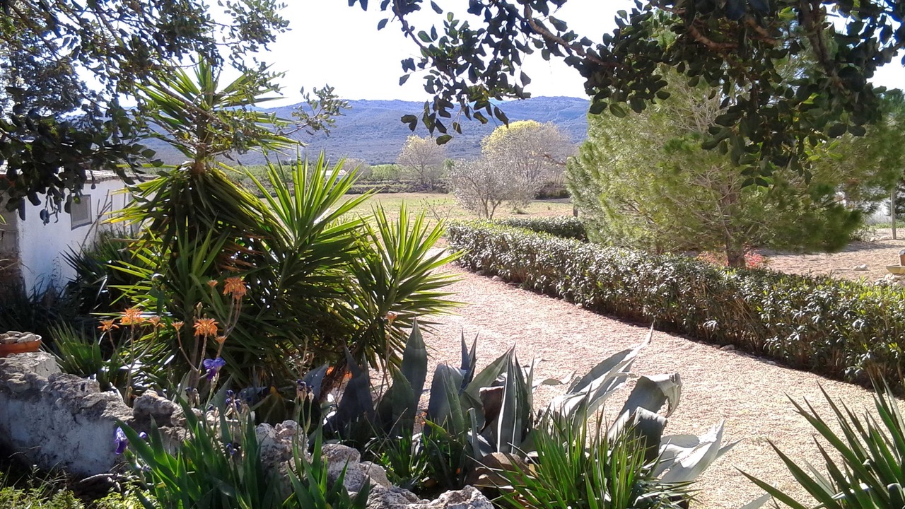 Photo of Outdoor in La Galera