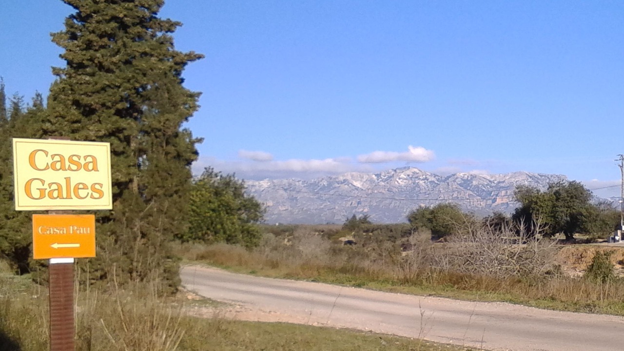 Photo of Others in La Galera