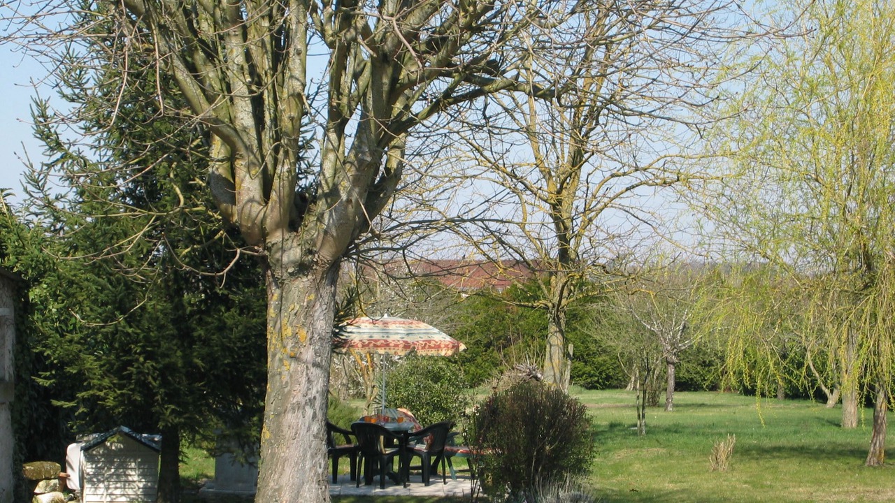 Photo of Outdoor in Blere