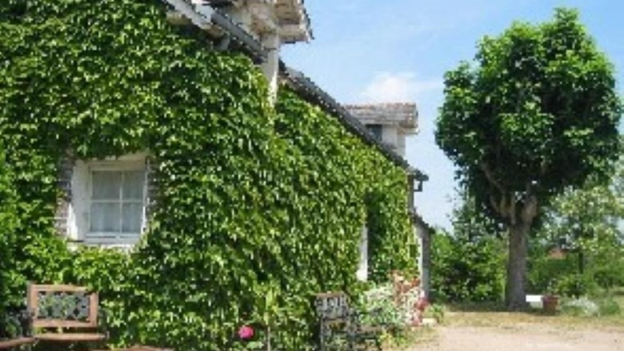 Photo of Outdoor in Blere