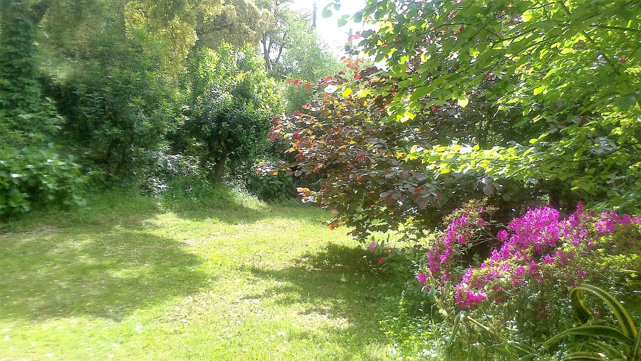 Photo of Outdoor in Cuttoli-Corticchiato