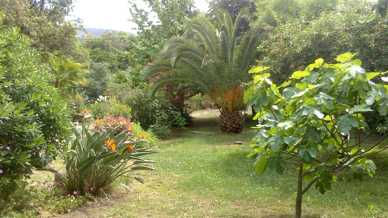 Photo of Outdoor in Cuttoli-Corticchiato