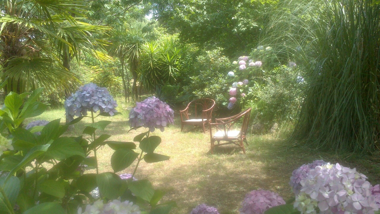 Photo of Outdoor in Cuttoli-Corticchiato