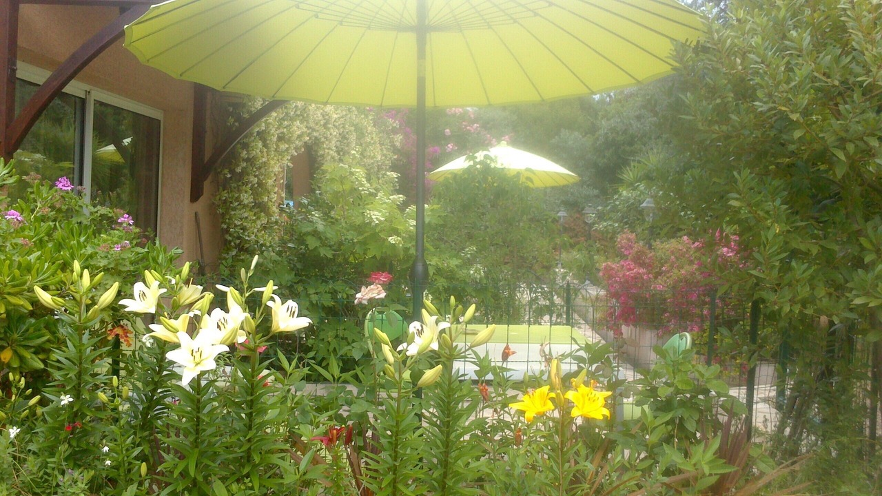 Photo of Outdoor in Cuttoli-Corticchiato