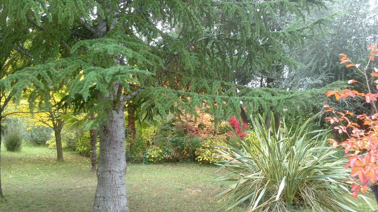 Photo of Outdoor in Cuttoli-Corticchiato