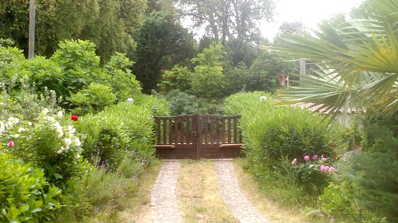 Photo of Outdoor in Cuttoli-Corticchiato