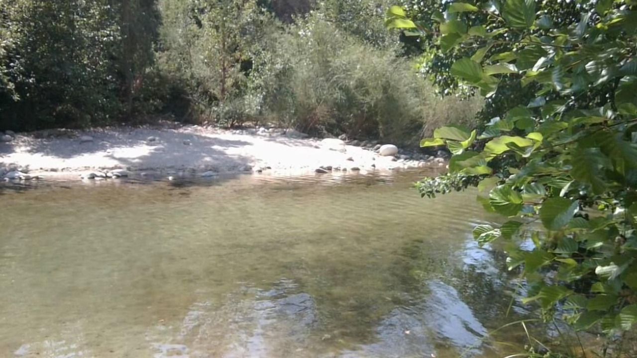 Photo of Others in Cuttoli-Corticchiato