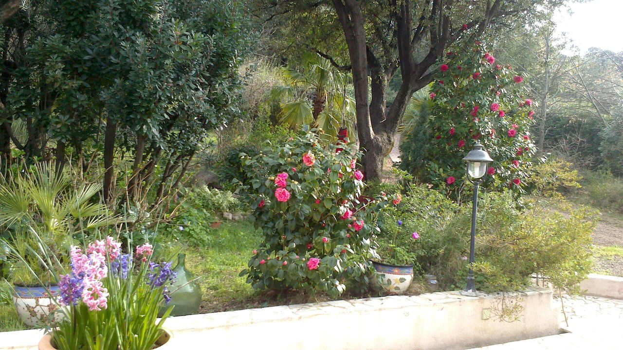 Photo of Outdoor in Cuttoli-Corticchiato