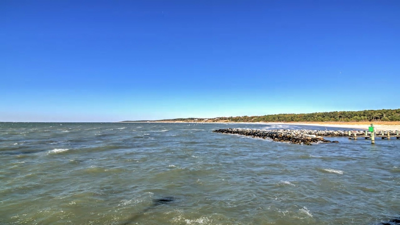 Photo of Others in Cape Charles