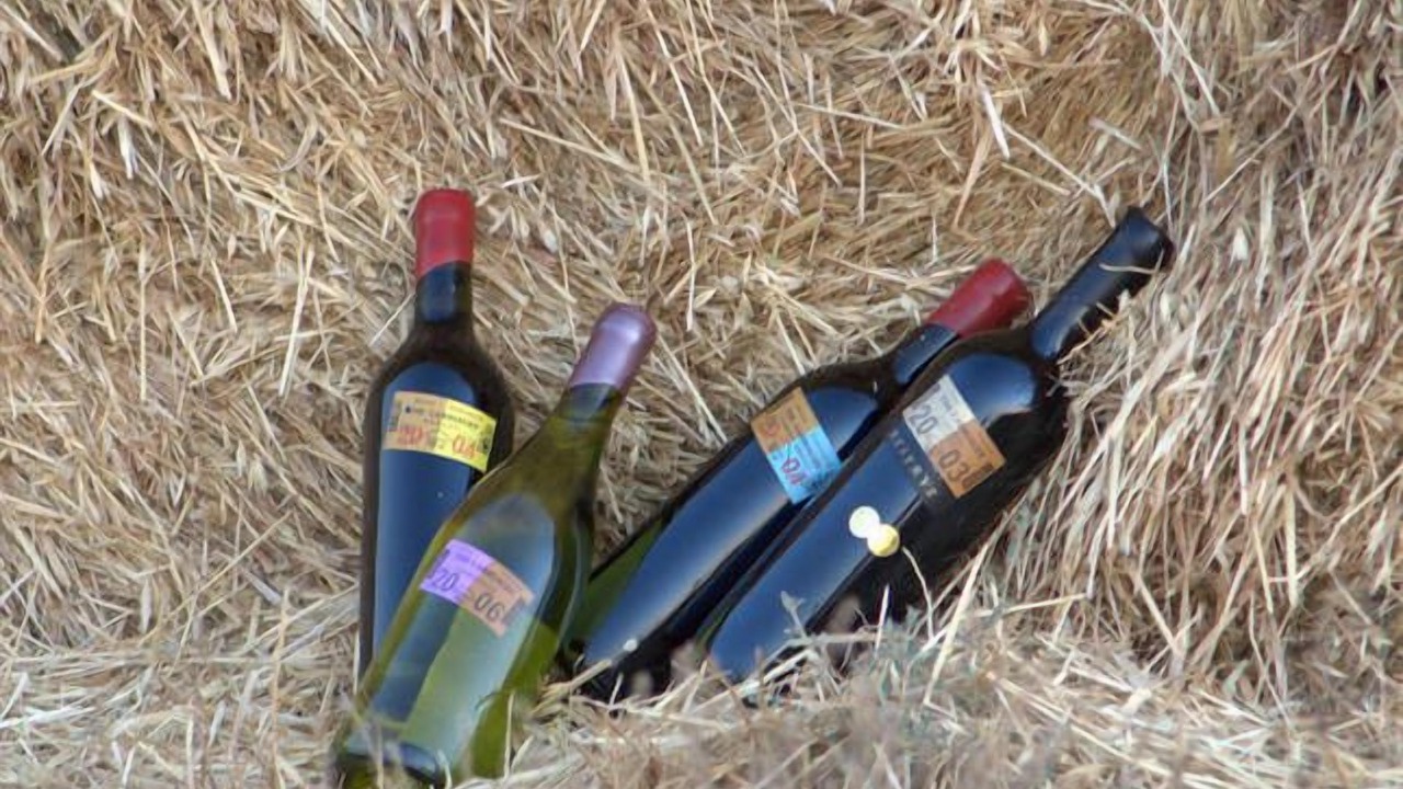 Photo of Others in Roslynmead