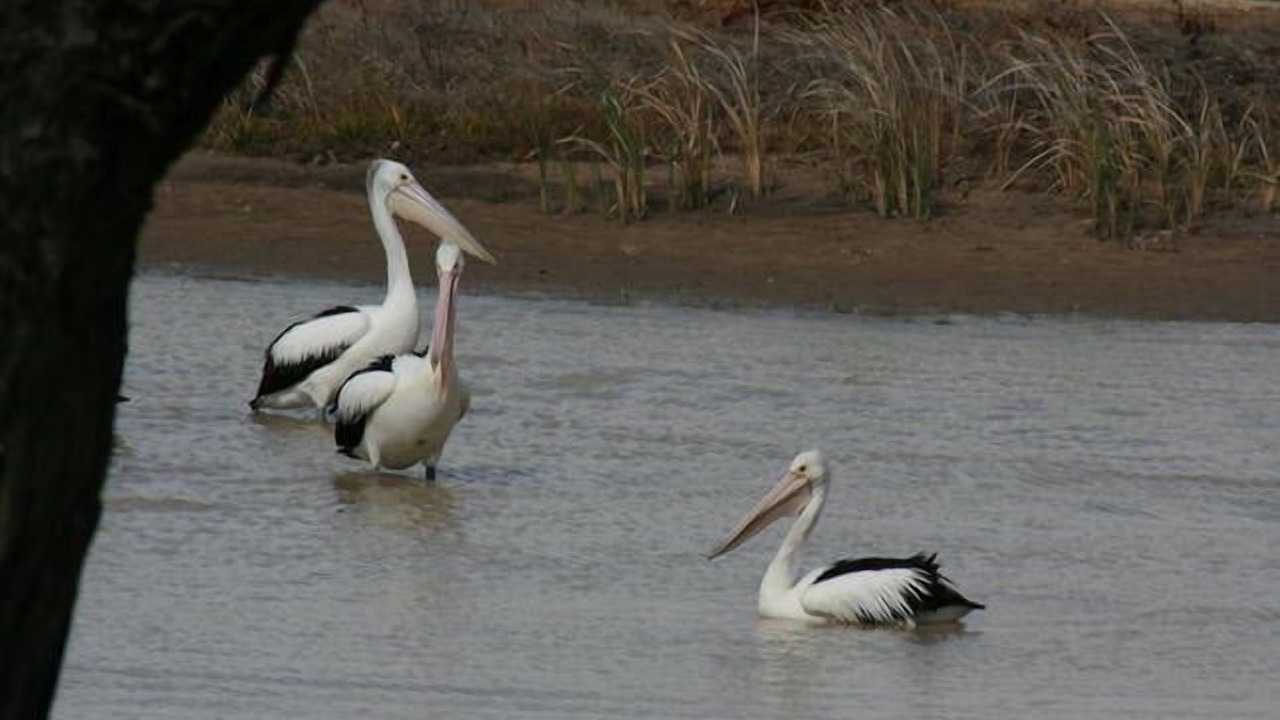 Photo of Others in Roslynmead
