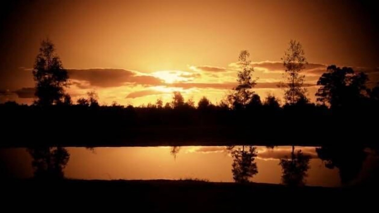 Photo of Outdoor in Roslynmead