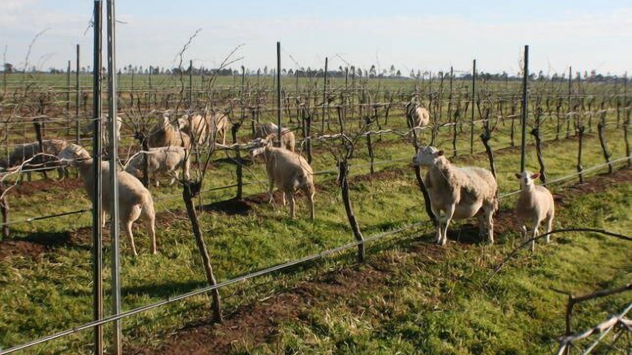 Photo of Others in Roslynmead