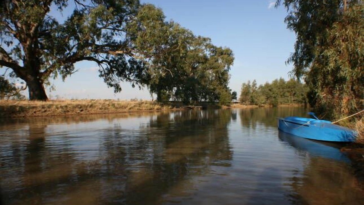 Photo of Outdoor in Roslynmead