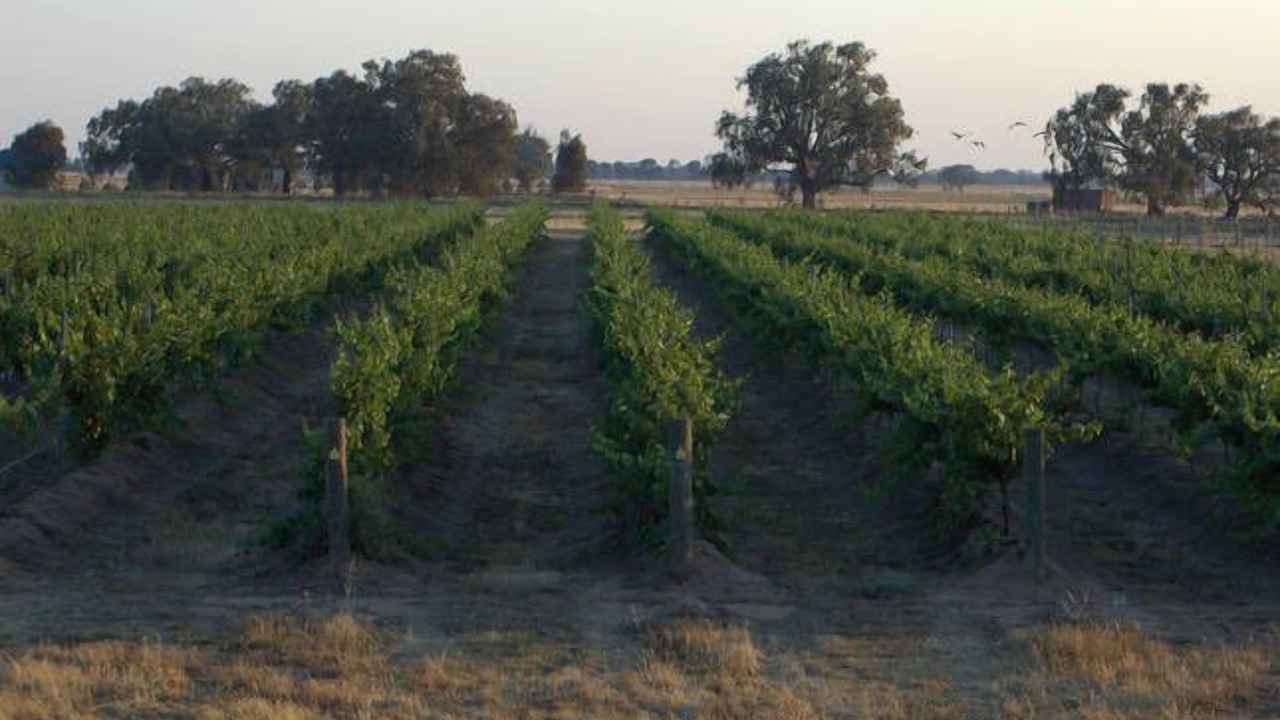 Photo of Outdoor in Roslynmead