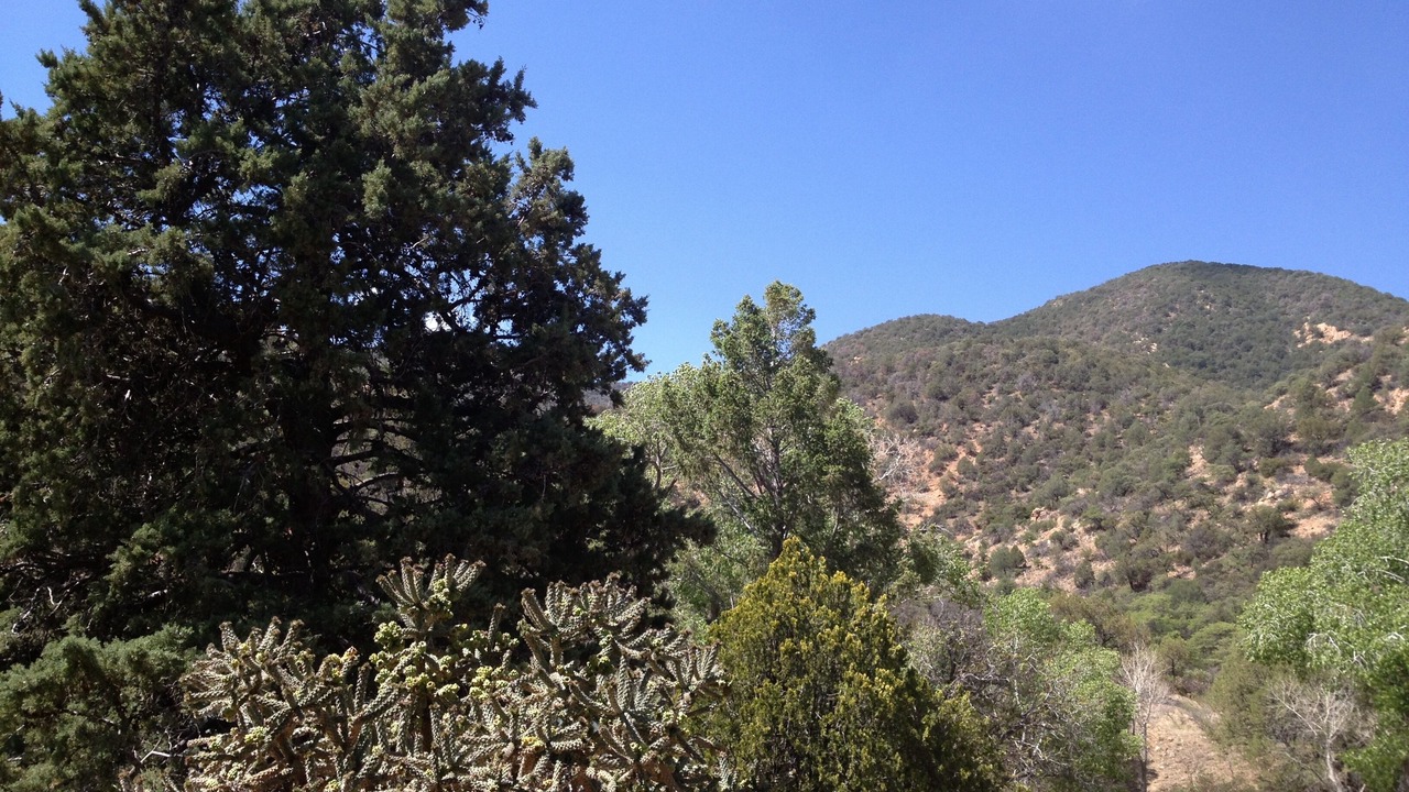 Photo of Others in Bisbee