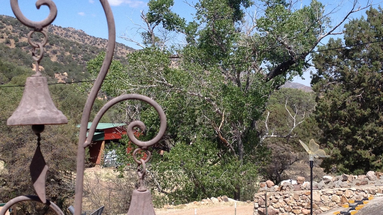 Photo of Outdoor in Bisbee