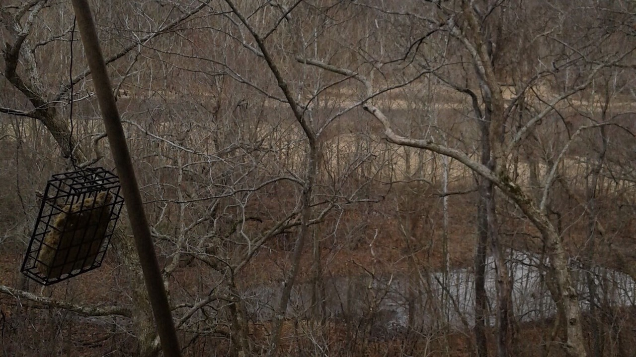 Photo of Others in Steelville