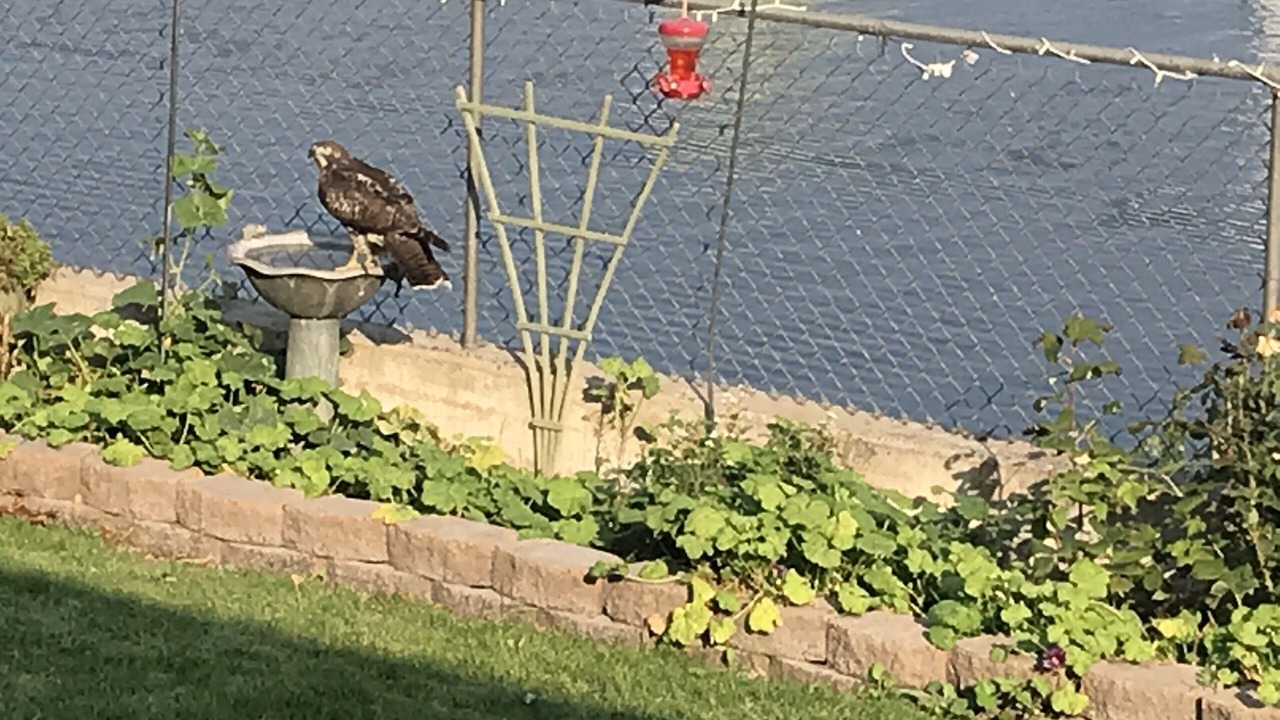 Photo of Others in Clarkston