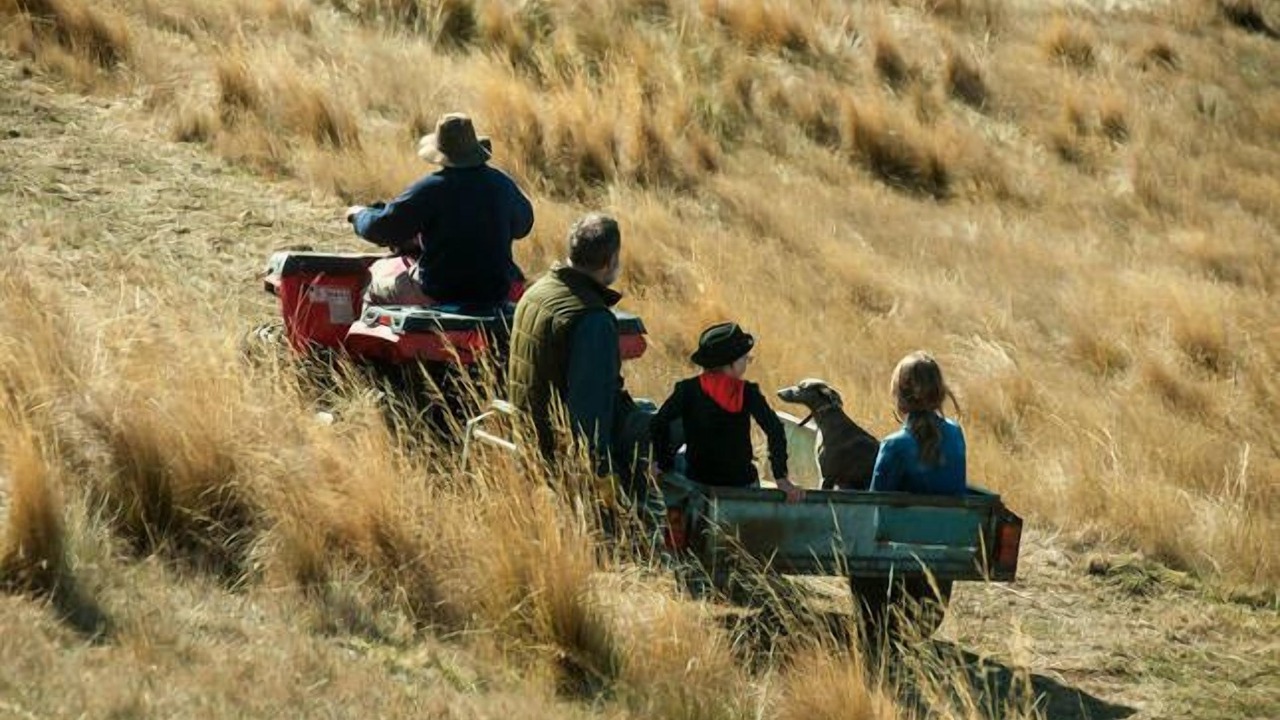 Photo of Others in Spring Hill