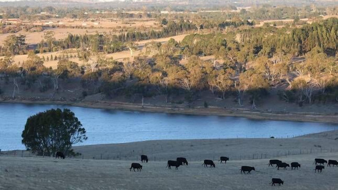 Photo of Others in Spring Hill