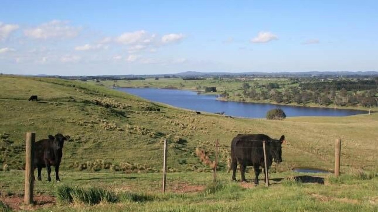 Photo of Outdoor in Spring Hill