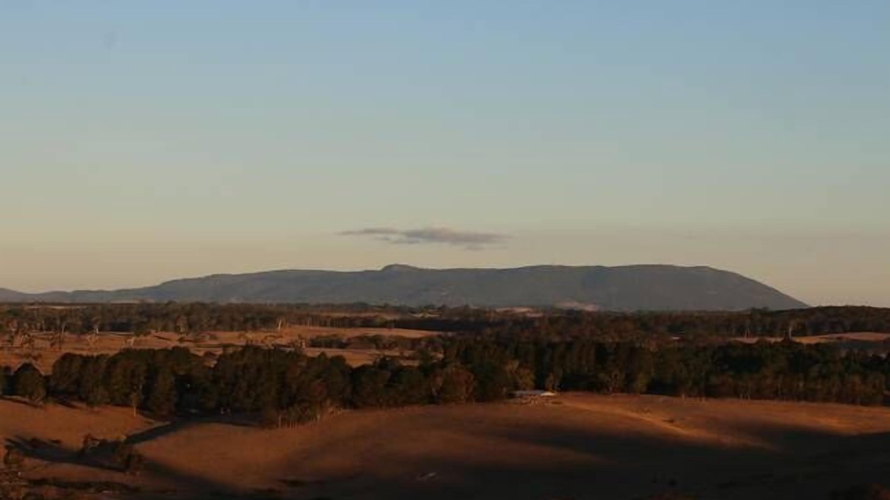 Photo of Others in Spring Hill