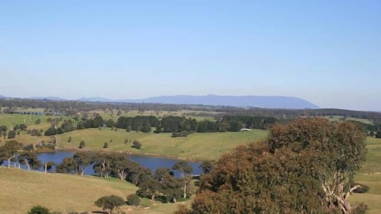 Photo of Outdoor in Spring Hill