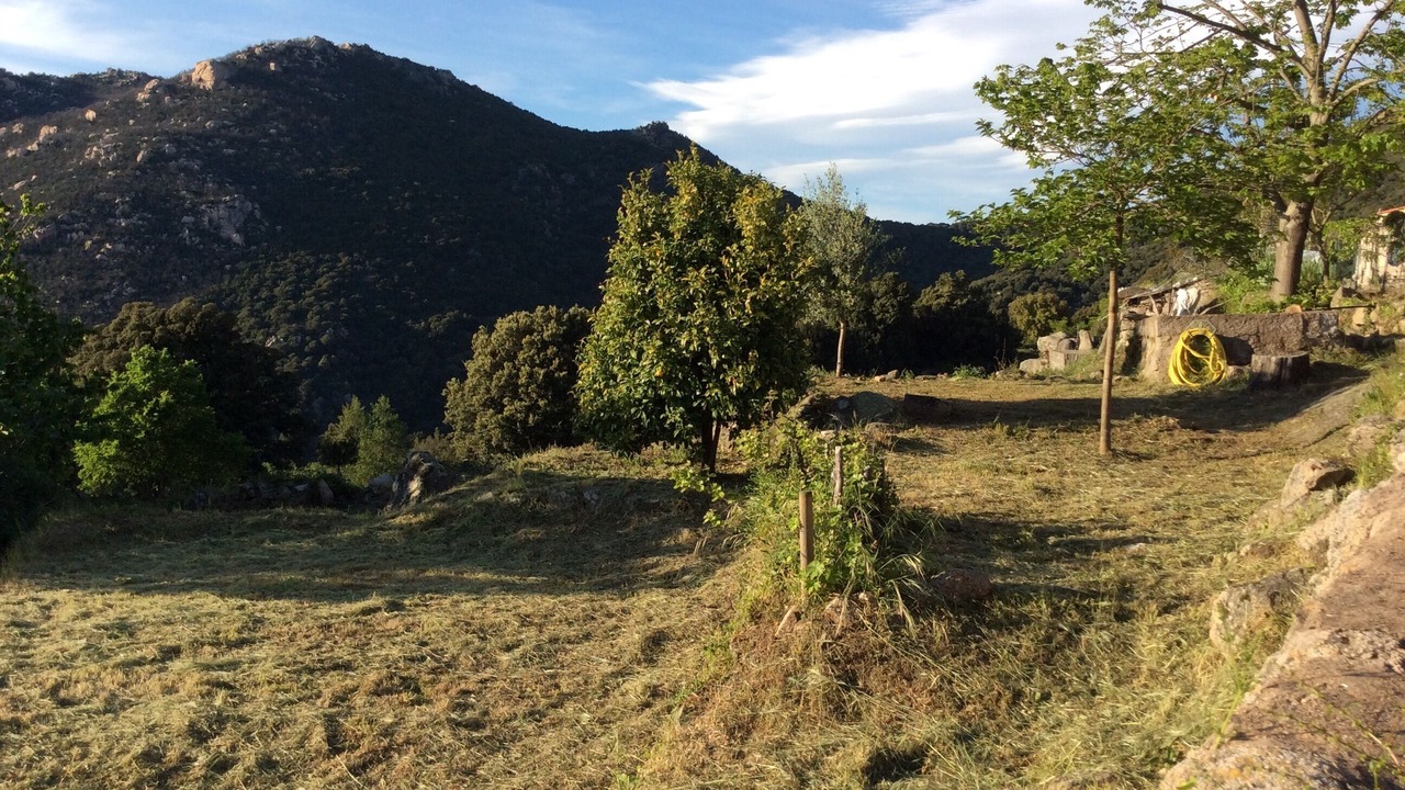 Photo of Outdoor in Monacia-d'Aullene