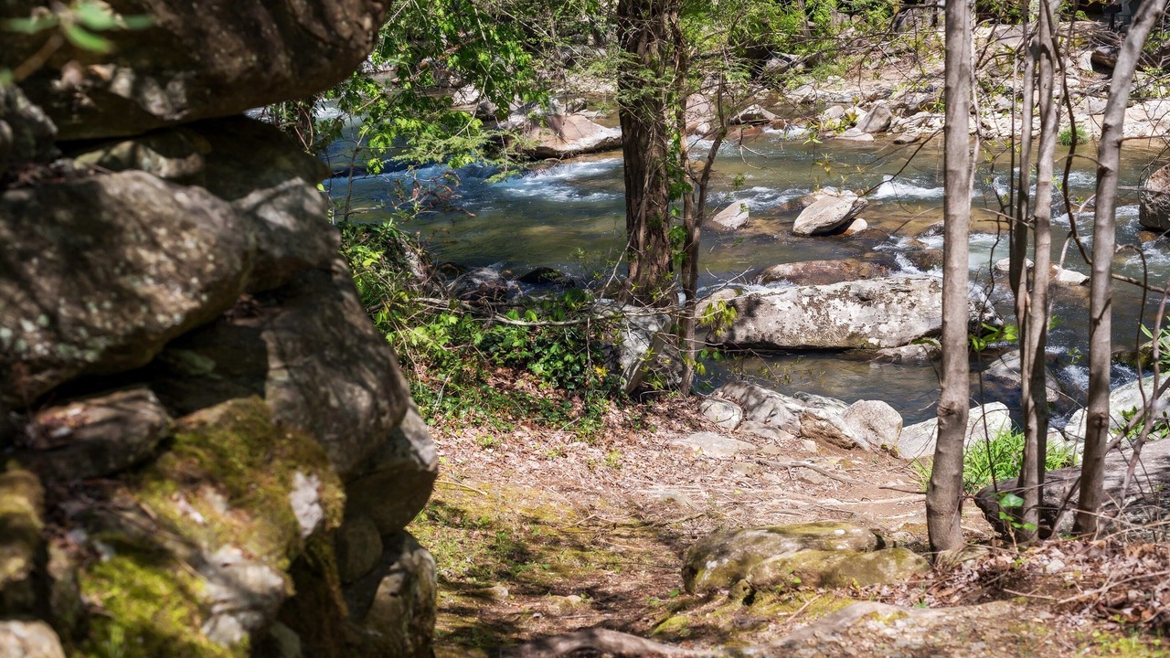 Photo of Others in Chimney Rock