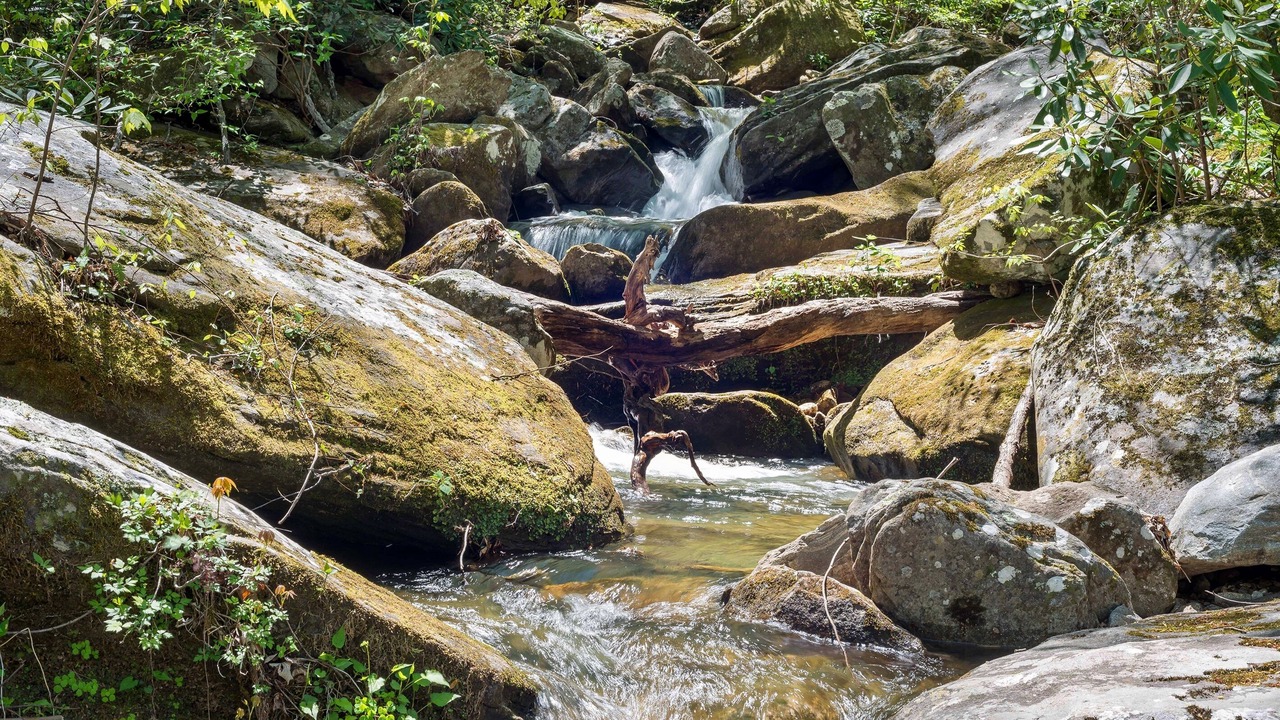 Photo of Others in Chimney Rock