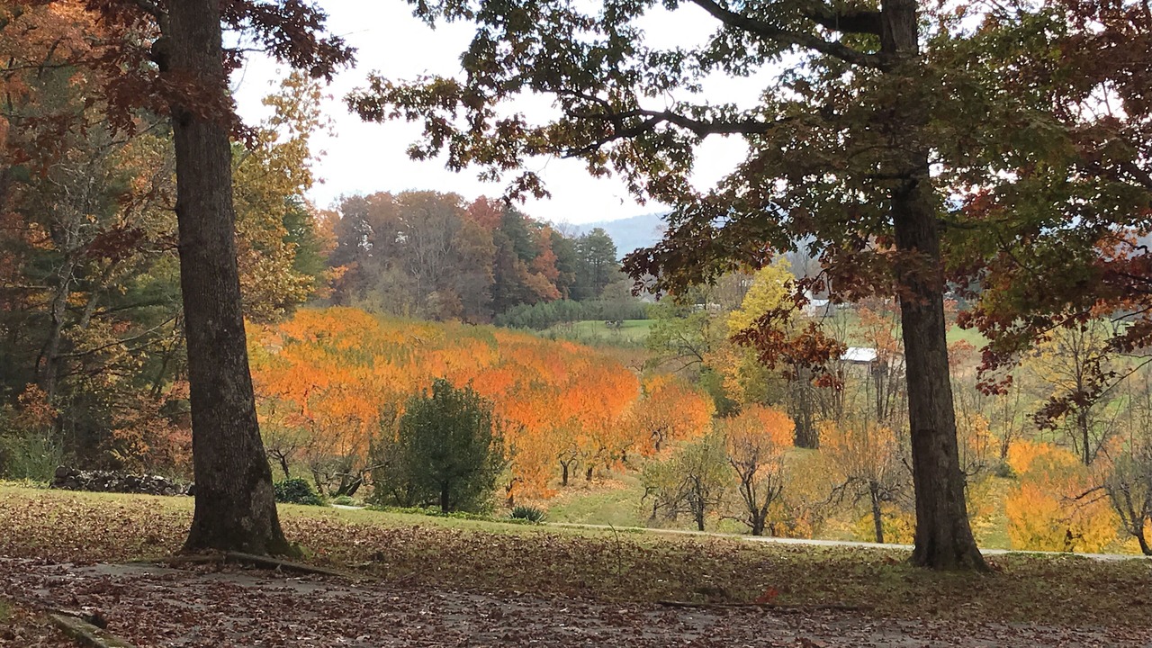 Photo of Outdoor in Hendersonville