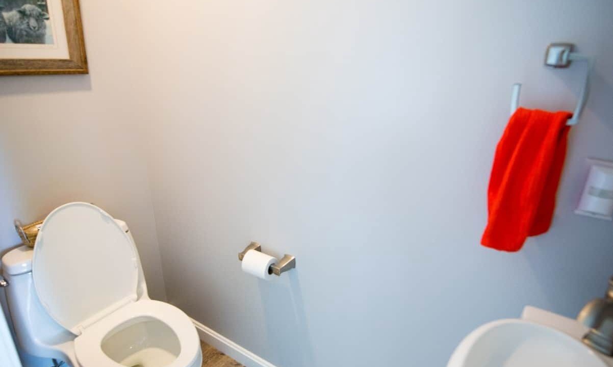 Photo of Bathroom in Topsham