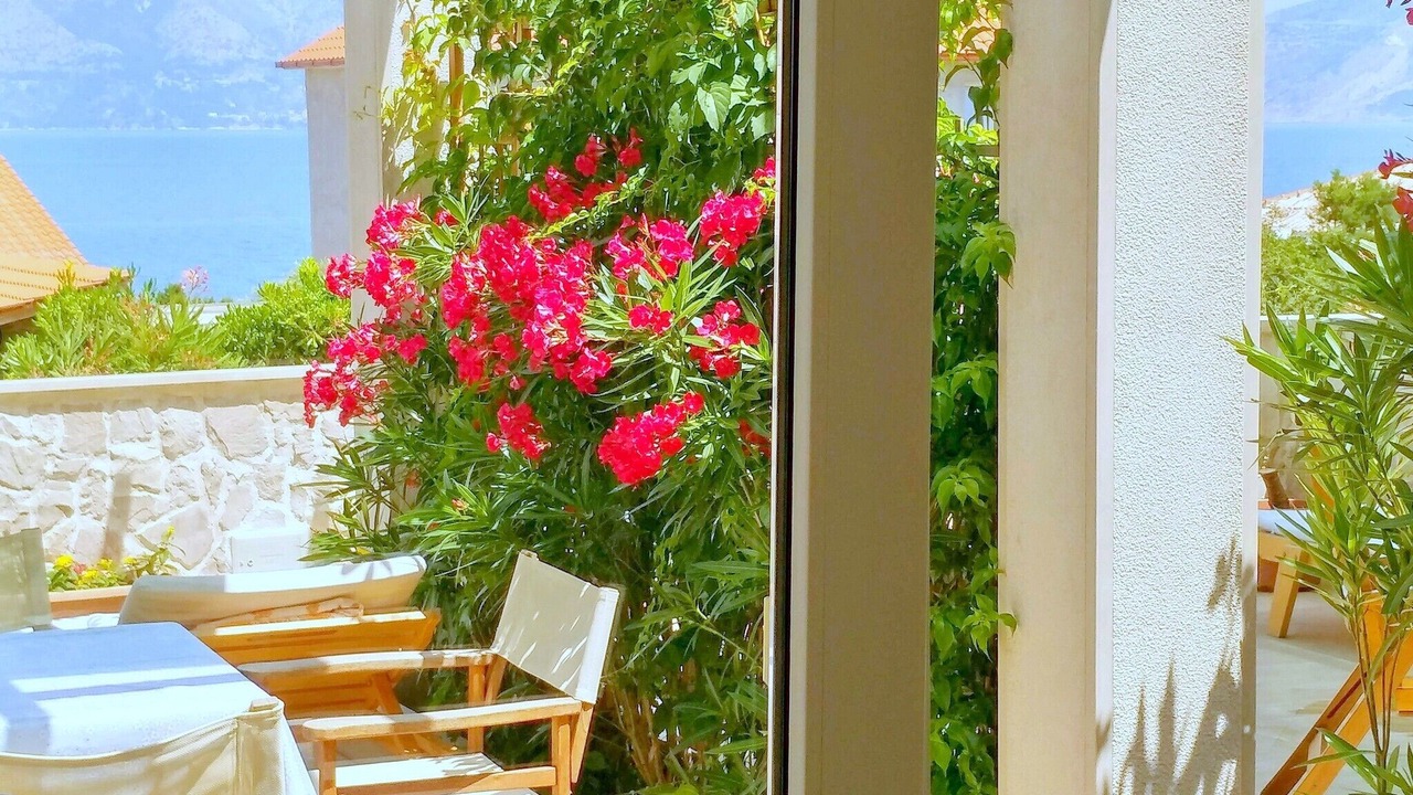 Photo of Outdoor in Povlja