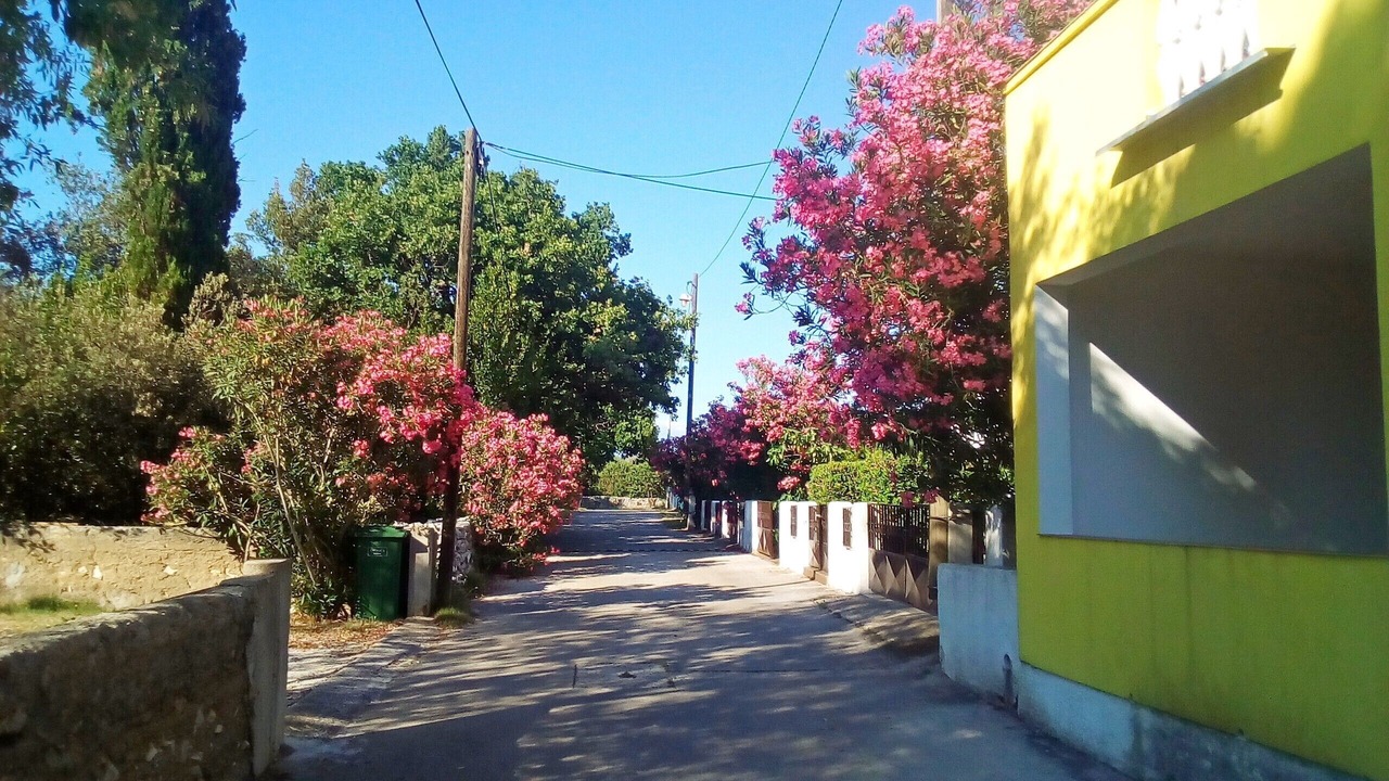 Photo of Outdoor in Petrcane
