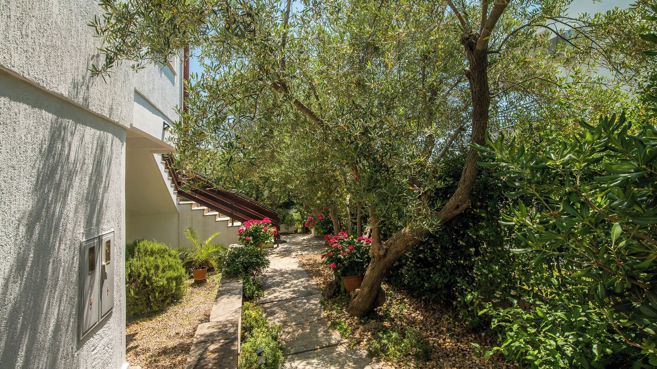 Photo of Outdoor in Kornic