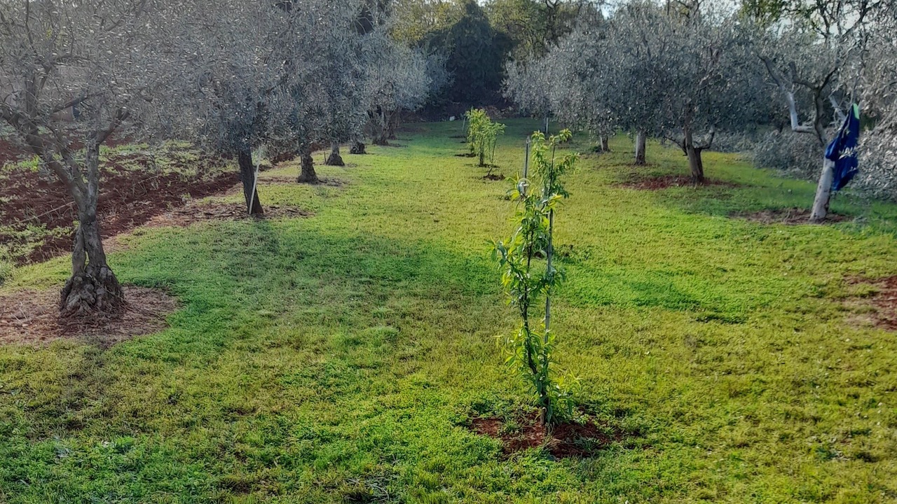 Photo of Outdoor in Valica