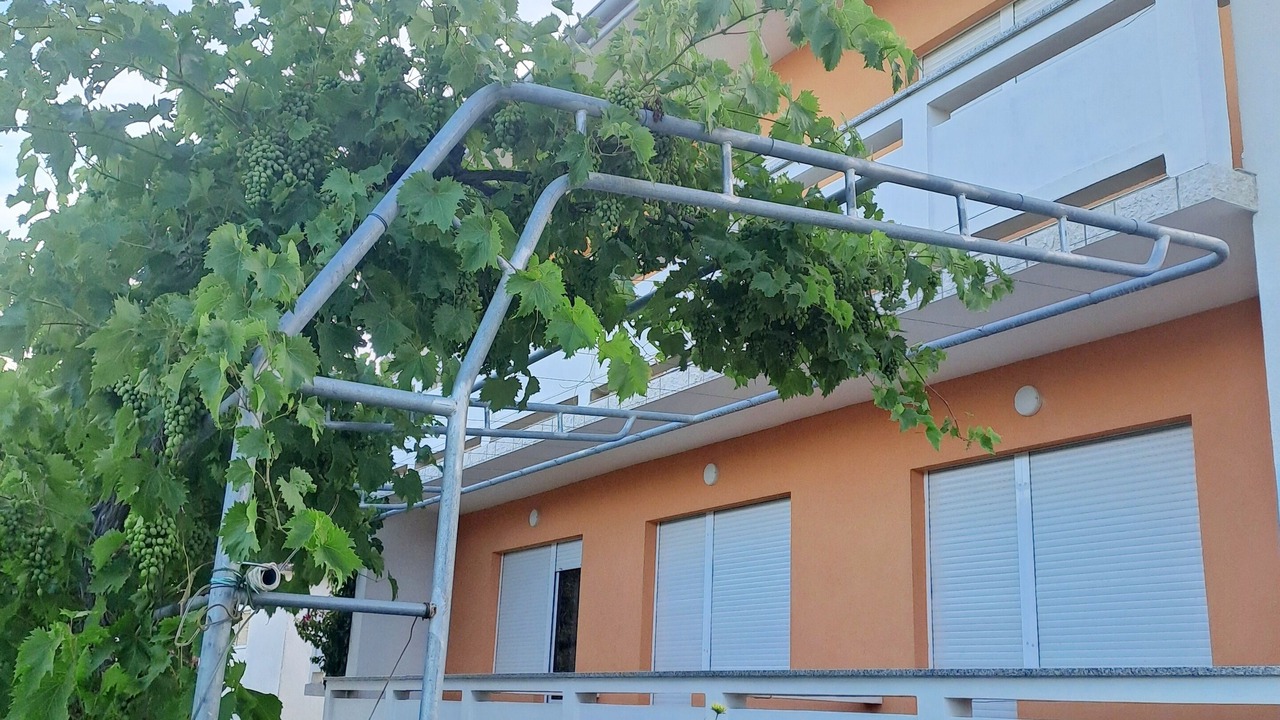 Photo of Outdoor in Palit