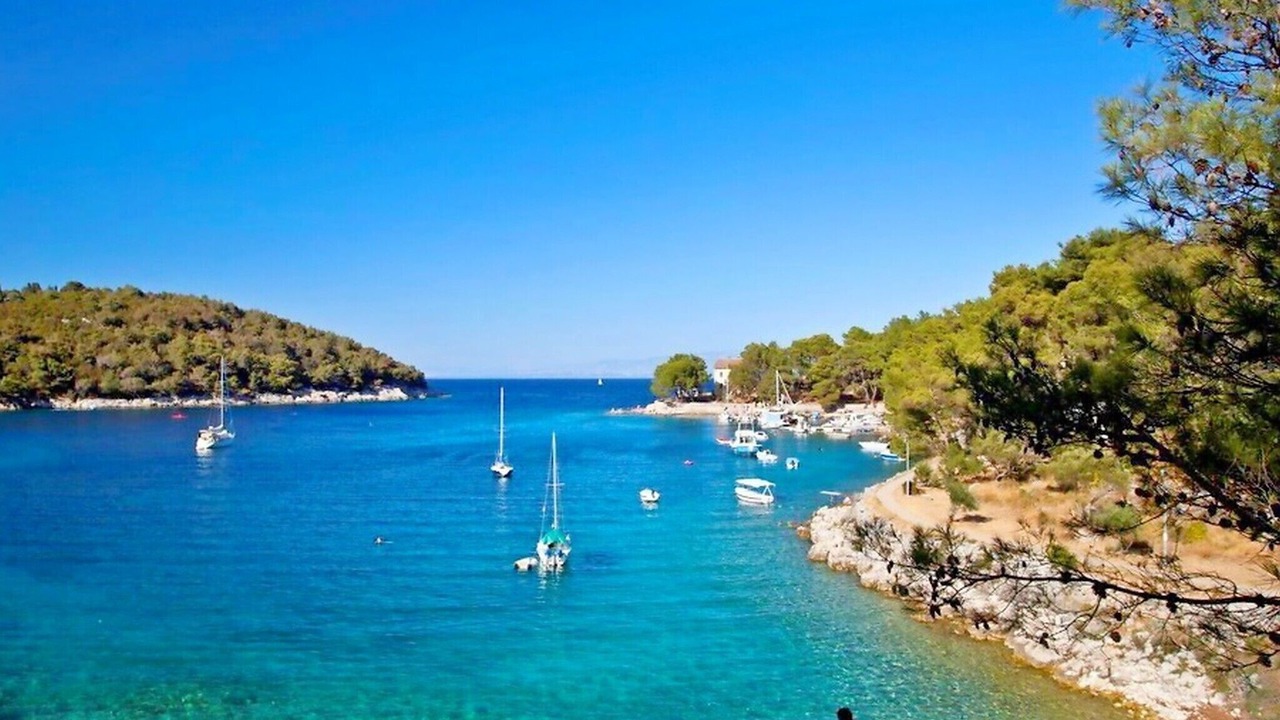 Photo of Others in Cove Murtar