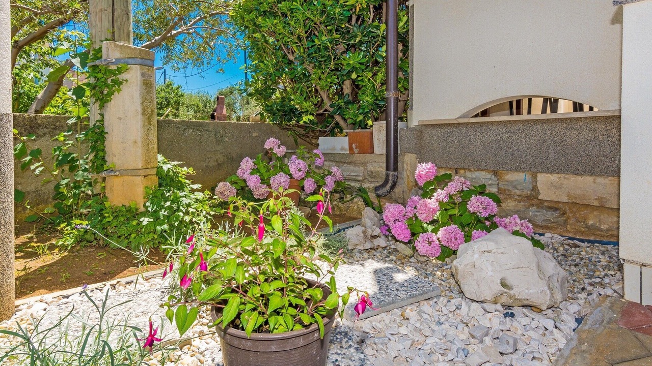 Photo of Outdoor in Privlaka