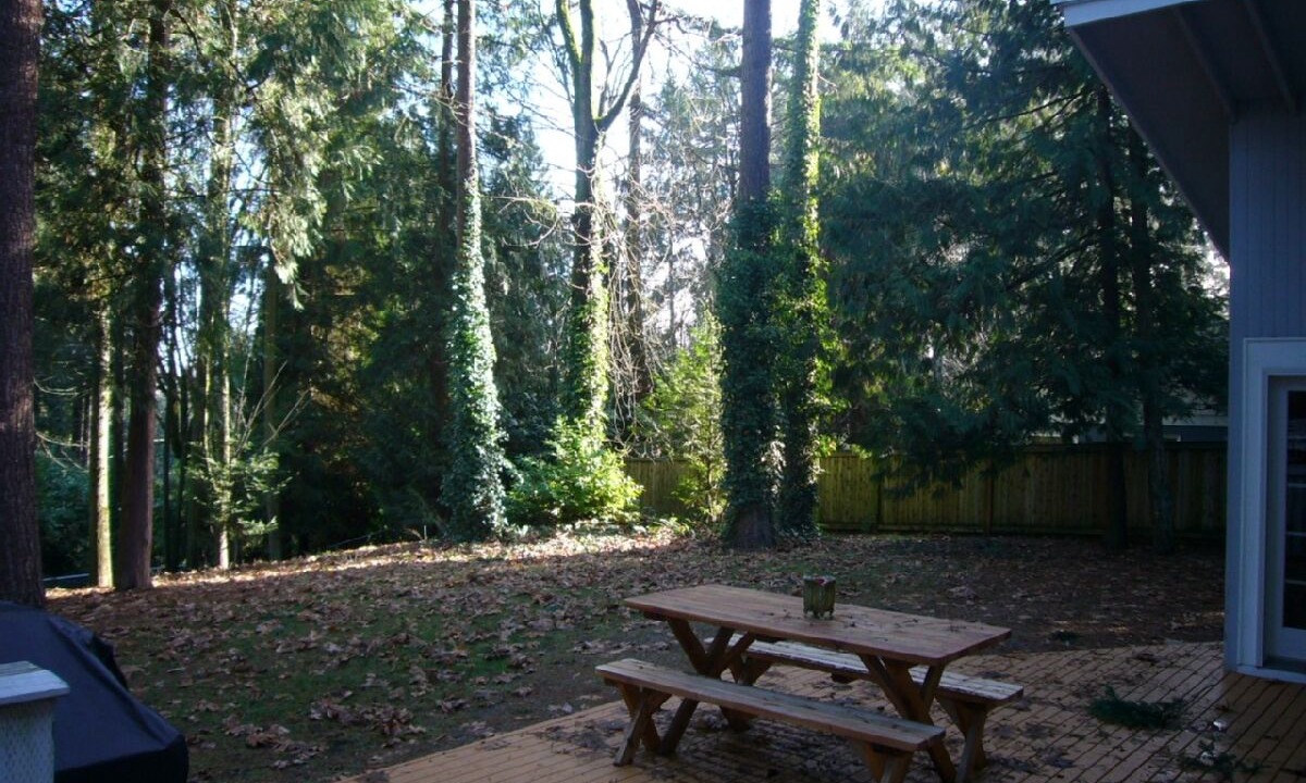 Photo of Others in Lake Forest Park