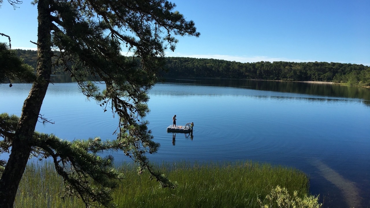 Photo of Others in Wellfleet