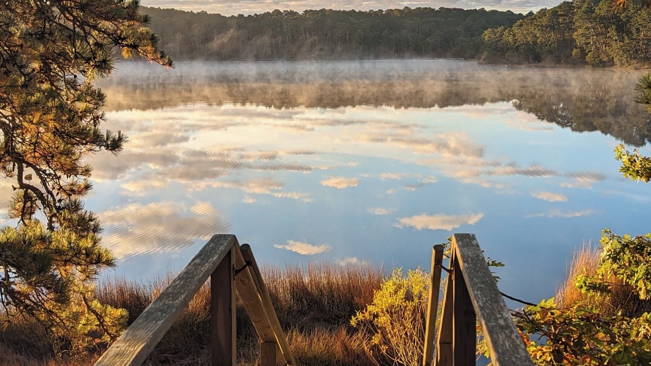 Photo of Others in Wellfleet