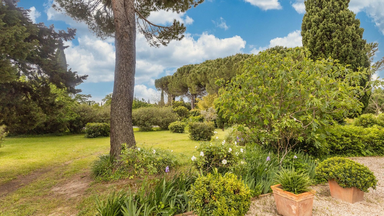 Photo of Outdoor in Chateaurenard