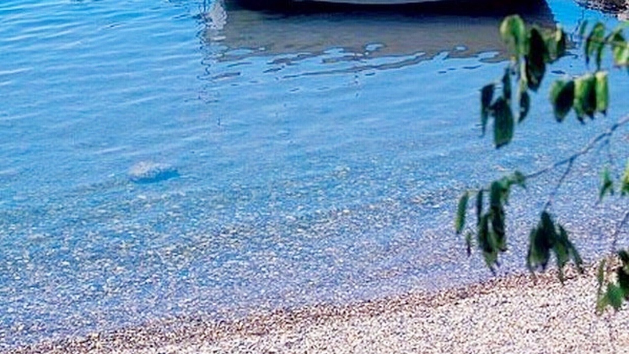 Photo of Others in Seline