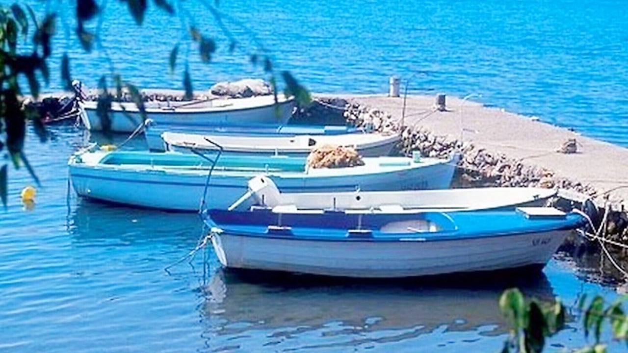 Photo of Others in Seline